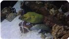 PASSEIO_AQUARIO_SP (30).JPG